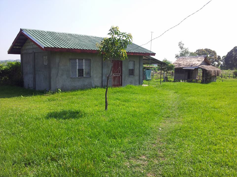 for sale house and lot photo